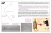 coo1d12 anaura_thumb.gif